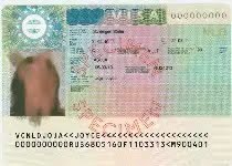 Schengen Visa 35*45 mm (3.5x4.5 cm)